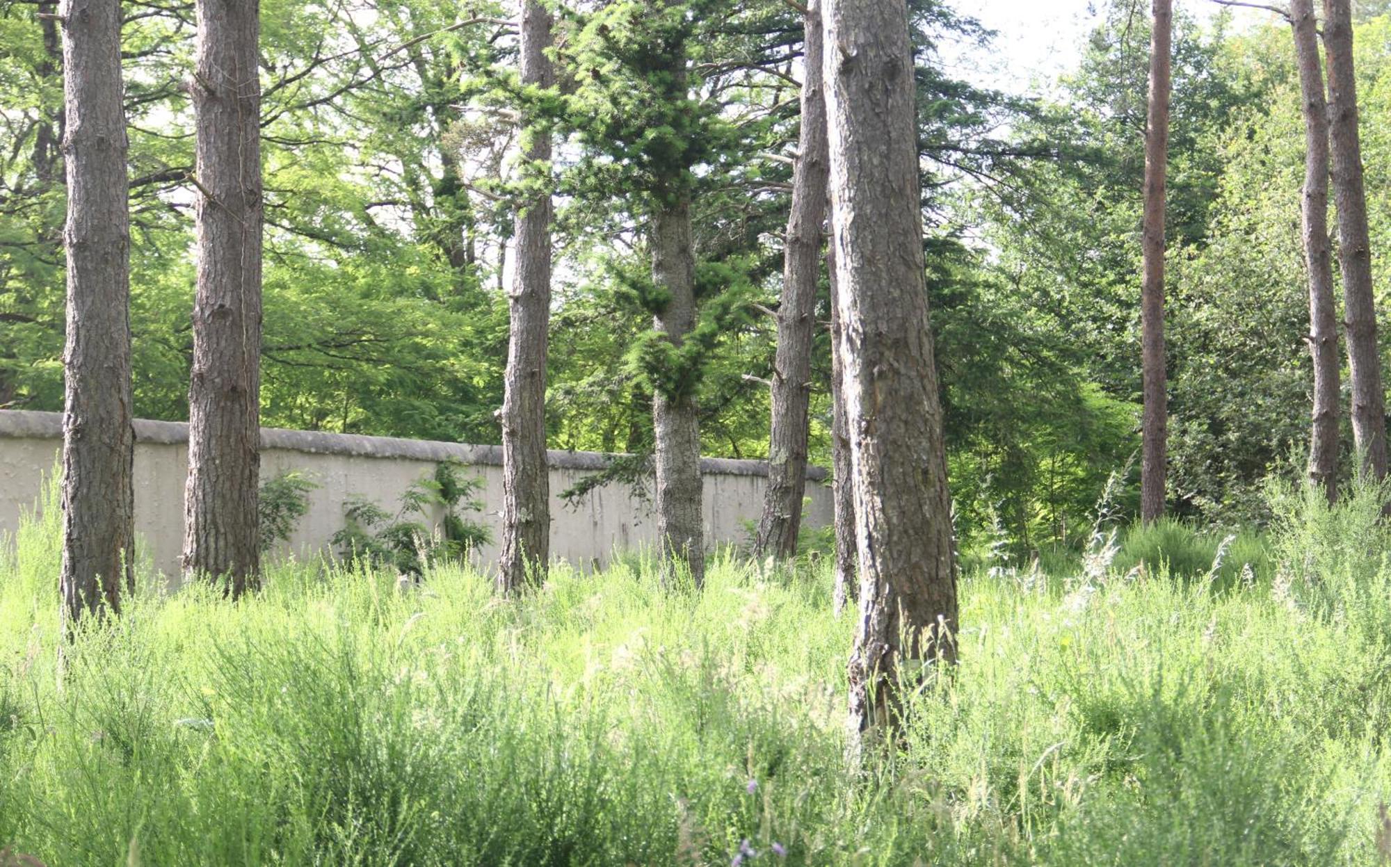 Vila Le Refuge De Chambord Thoury Exteriér fotografie